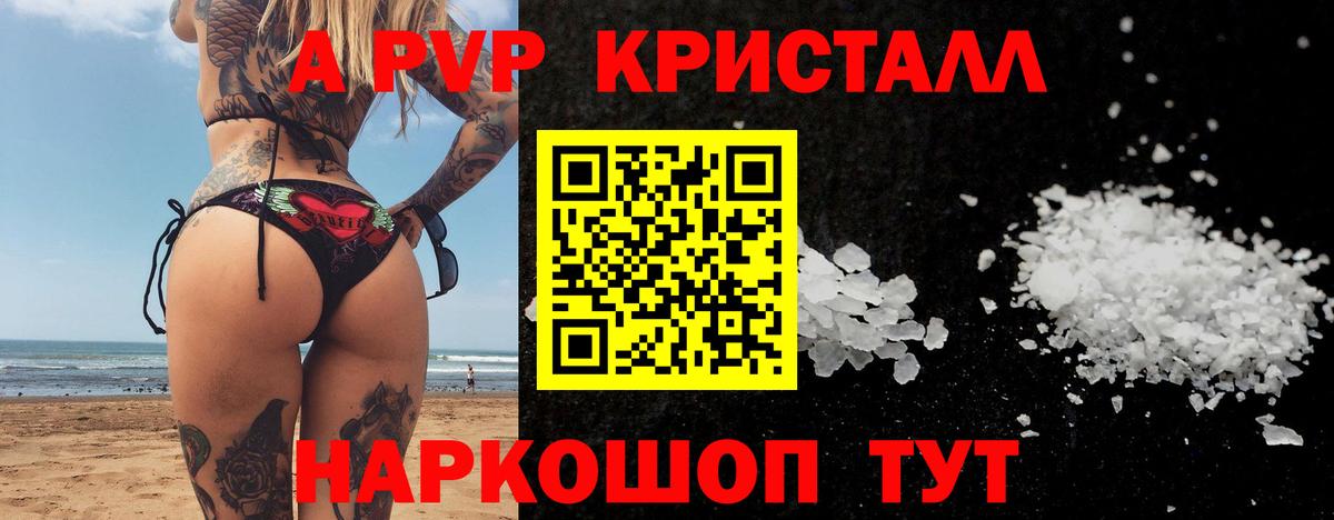 A PVP СК Междуреченск