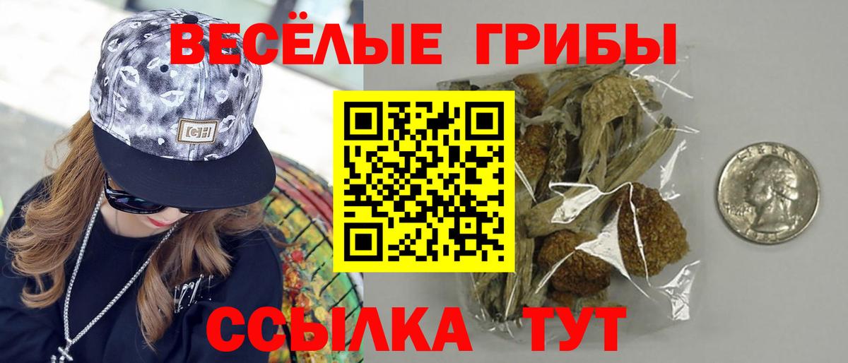 Галлюциногенные грибы Magic Shrooms  Вход с VPN  Междуреченск 